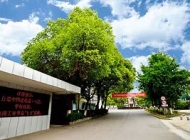 南京化工职业技术学院2024年招生计划