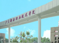 广东新安职业技术学院