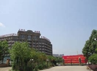 新世纪经贸专修学院2024年招生计划