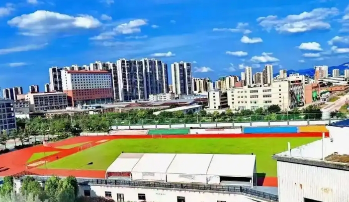 微信截图_20241223092255